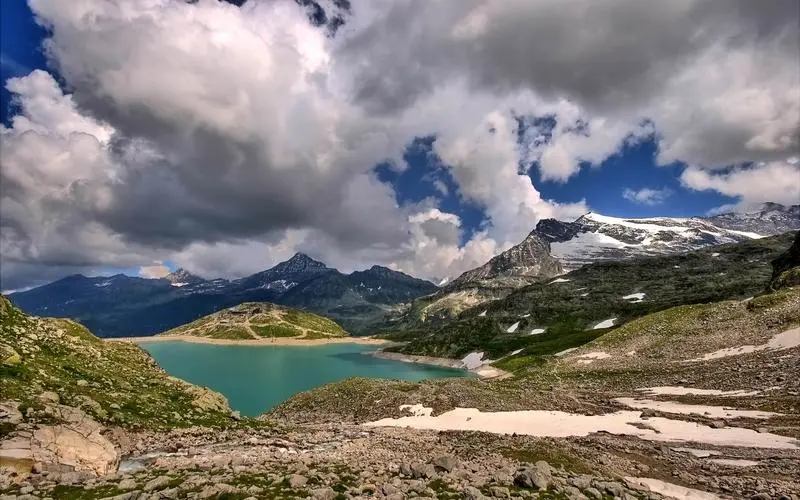 网络化数字化